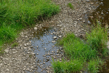 Ausgetrocknetes Flußbett in der Oberlausitz