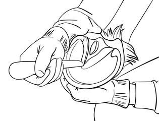 Horse info graphic poster design. Vector illustration.