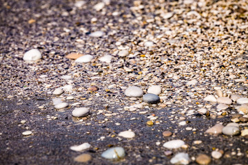 Background of multicolored sea pebbles on the beach. Small color wet stones gravel texture background.