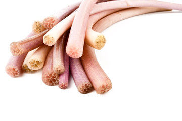 Lotus stem or Renkon (Nelumbo nucifera) isolated on white background, Plants growing in water Can be food or dessert.