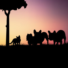 Silhouettes of dogs with kitten on background