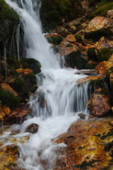 Fototapeta na wymiar Ruscello alpino con cascata d'acqua tra le rocce