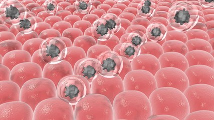 Skin detoxification melanin