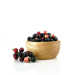 Antidesma puncticulatum Miq, Thai Blueberry Fruit (Mamao) isolated on white background.Can be extracted into medicine and wine Growing in the Northeast of Thailand.