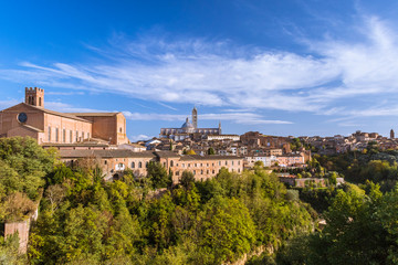 Fototapeta na wymiar Urbanscape of Siena, the medieval town on the hill with trees under the blue sky in Tuscany, Italy. 