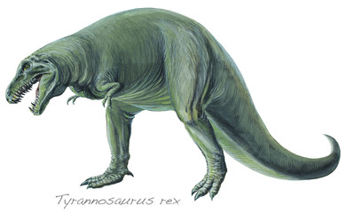 TYRANNOSAURUS REX. One of the largest flesh-eating dinosaurs. About 18ft (5-5m) high and 50ft (15m) long. Upper Cretaceous, about 70 million years ago. *No. 7 in a series of eight.* © Lewisroland