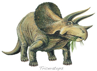 TRICERATOPS. A plant-eater. The largest of the horned dinosaurs. About 20ft (6m) long. Background: Pteranodon. Upper Cretaceous, about 70 million years ago. *No. 8 in a series of eight.* © Lewisroland