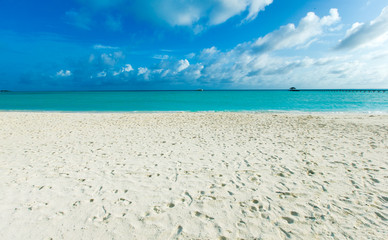 Fototapeta na wymiar tropical Maldives island with white sandy beach and sea.