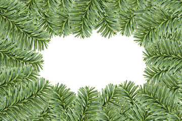 Fototapeta na wymiar Christmas evergreen fir tree border, isolated on white background
