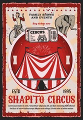 Circus top tent with carnival trained animal and acrobat vector design. Chapiteau marquee with flags, elephant balancing on ball and man riding vintage bicycle, retro tickets and fireworks © Vector Tradition