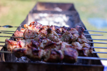 Kebabs on the grill. Cooking kebabs in Germany.
