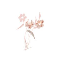 Fototapeta na wymiar Flower Plant Botanical Frame texture Background Watercolor Gold Pink Leaf Bouquet Wedding