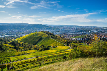 Germany, Stuttgart houses surrounded by colorful vineyards and forested hills in autumn