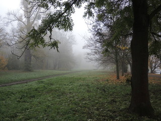 Morgennebel im Herbst