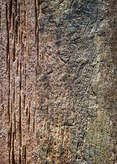 Natural pattern and texture of wood