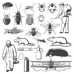 Pest control sketches with insects, insecticide, rodent and exterminators. Mosquito, cockroach, ant and fly, pesticide spray, rat and mite or tick, spider, termite and mouse, flea, mole, grasshopper
