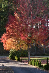 Naklejka premium Golden Day