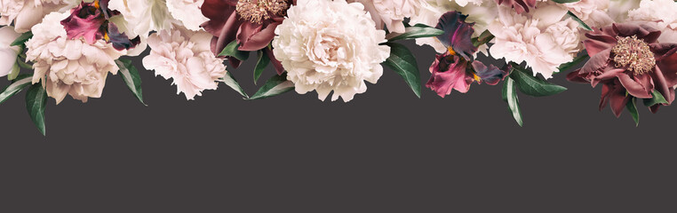 Cream peonies and maroon iris isolated on dark background. Floral banner, cover header with copy space. Natural flowers wallpaper or greeting card.