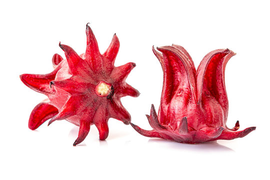 Roselle, isolated on a white background. Closeup