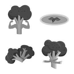 Vector illustration of eating and diet icon. Set of eating and agriculture stock vector illustration.