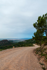 Sunrise in the desert of the palms of Benicassim