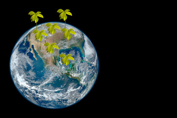 earth with sapling of tree with black background 