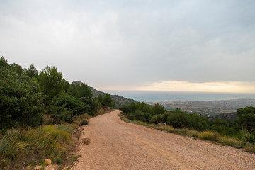 Sunrise in the desert of the palms of Benicassim