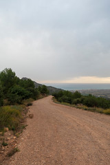 Fototapeta premium Sunrise in the desert of the palms of Benicassim