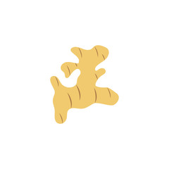 vegetable ginger flat style icon