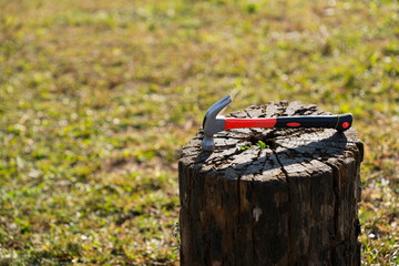 Orange hammer  on Stump At the lawn.