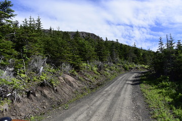 Fototapeta premium Dirt Road on a Scenic Drive