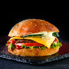 burger on a dark background