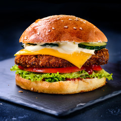 burger on a dark background