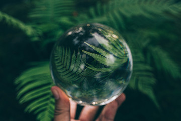 Glass ball : Natural power and environment saving concept.