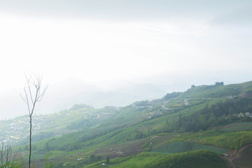 Naklejka premium Phu Thap Boek
