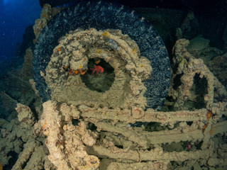 Thistlegorm ship sunk in World War II in the Red Sea