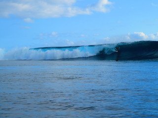 exploring tropical island paradise