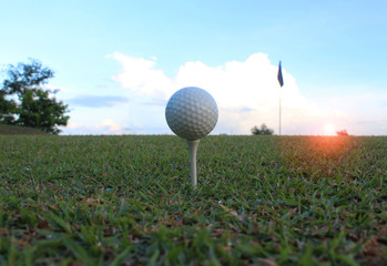 White golf ball on the tee In the race on the green lawn background