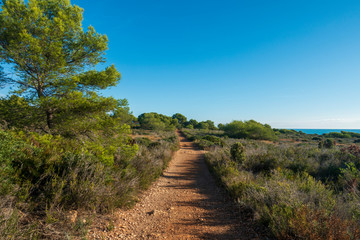Trail through the mountains of Irta de Alcocebre