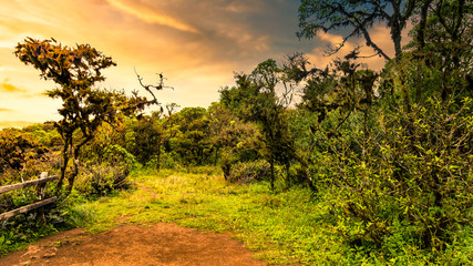 A beautiful scene of an island of the Galapagos