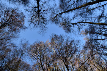 Traumschleife Hunolsteiner Klammtour