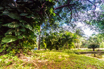 paisaje
