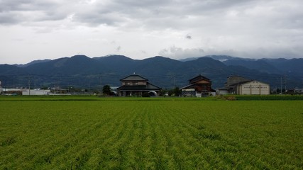 rural area near yoshinogari koen station, japan in summer