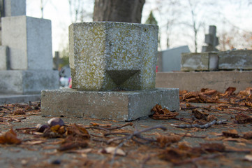 Monument and candles in the cemetery. All Saints Day in Poland. A flowerpot stands on a crypt in a cemetery.