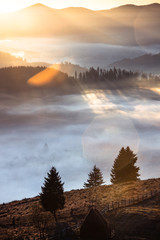 Wonderful misty rural autumn morning. Landscape with low fog,trees,mountains at sunrise in Bucovina,Romania
