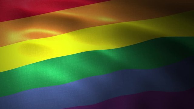 The rainbow flag, LGBT pride flag or gay pride flag waving at wind