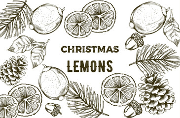 Sketch style yellow lemons with green leaves. Pine cone, nuts and fir tree leaves. Line art composition vector