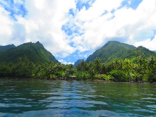Fototapeta na wymiar exploring tropical island paradise
