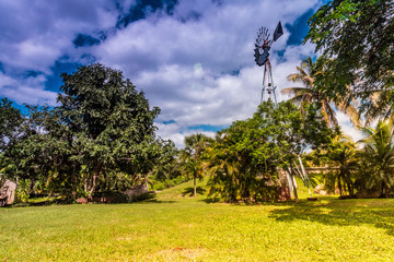 Fototapeta premium paisaje