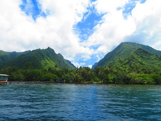 exploring tropical island paradise